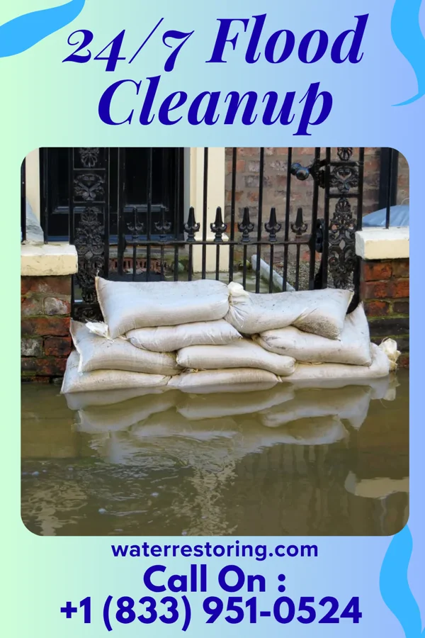 24/7 Flood Cleanup in La Paloma, TX