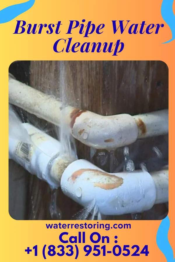Burst Pipe Water Cleanup in La Paloma, TX