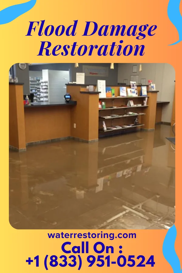 Flood Damage Restoration in La Paloma, TX