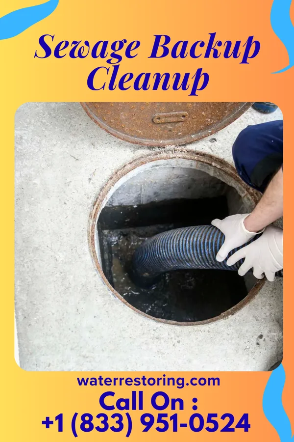 Sewage Backup Cleanup in La Paloma, TX