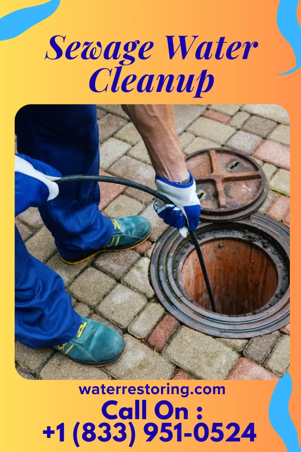 Sewage Water Cleanup in La Paloma, TX